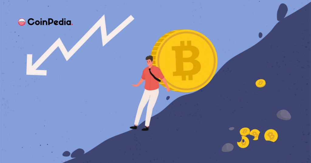 Massive Influx of Stablecoins, Is Another Market Crash Imminent?