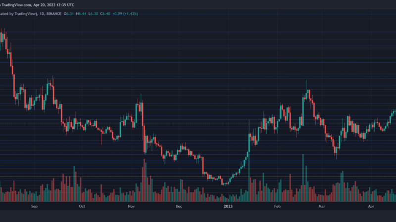 Polkadot Bears Are Back, Can DOT Revisit $7 Soon?