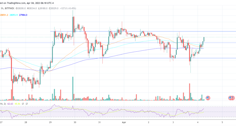 While Bitcoin Stagnates, Is Altcoin Season Finally Here? QCP Weighs In