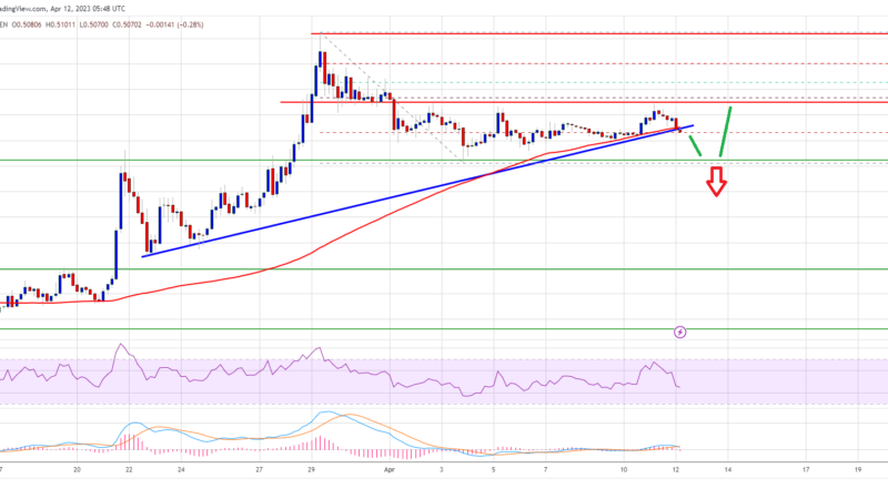 XRP Price Prediction: Ripple At Risk of Downside Thrust Before Fresh Increase