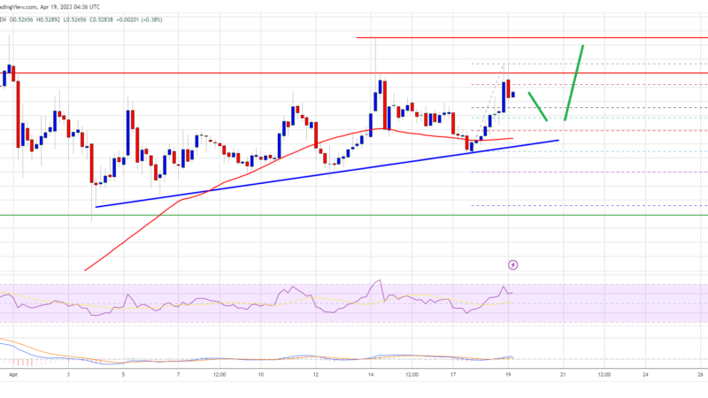 XRP Price Prediction: Ripple Bulls Aim For $0.60 or Higher