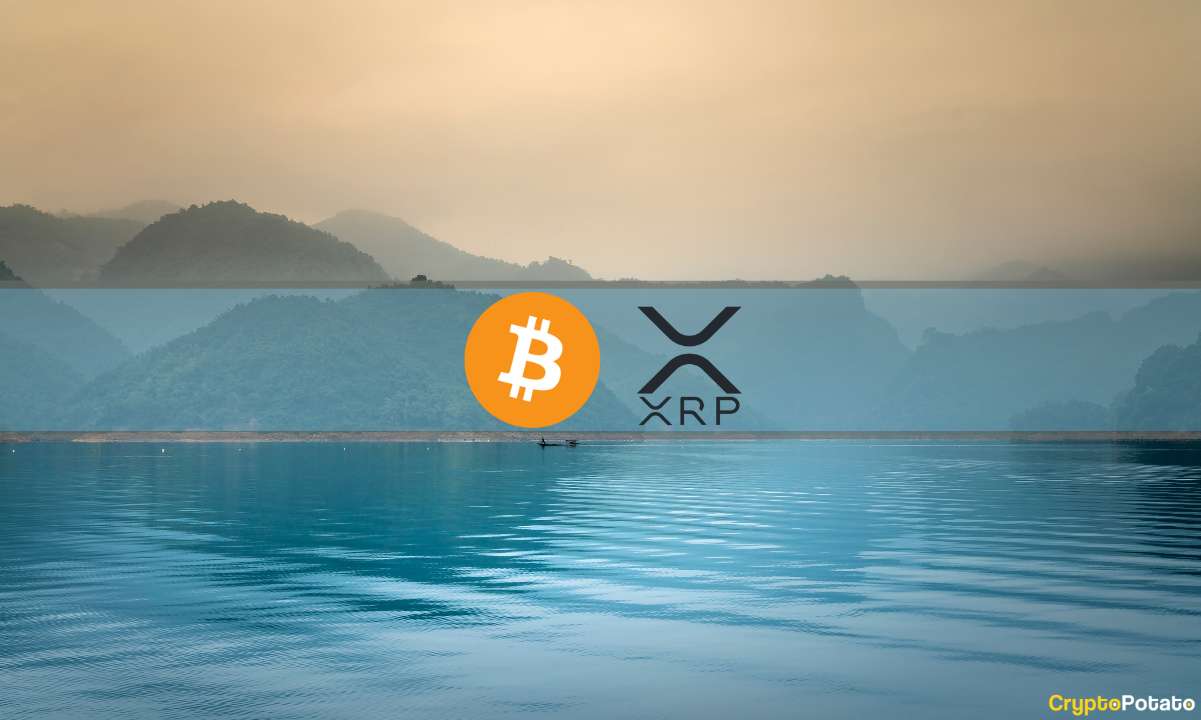 XRP Rally Cools Off, MicroStrategy Buys More BTC, Market Calms Down: This Week’s Crypto Recap