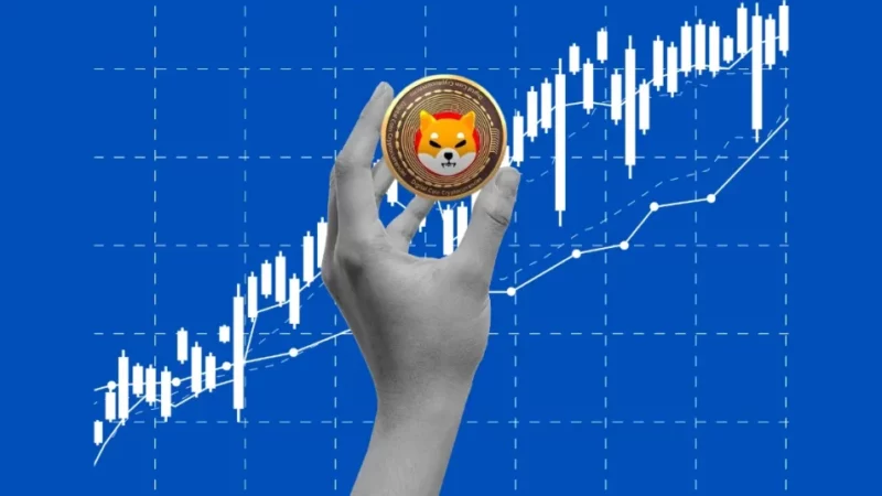 3 Reasons Why Shiba Inu (SHIB) Price is All Set to Explode and Reverse the Bearish Spell