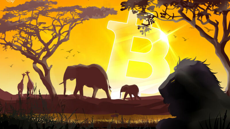 Central African Republic gets IMF optimism a year into Bitcoin adoption