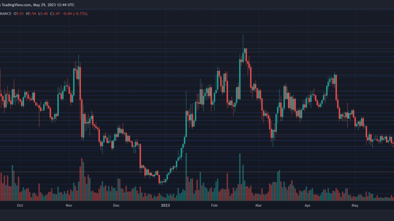 Polkadot Experiences Correction After Reaching $5.54: What’s Next In Store?