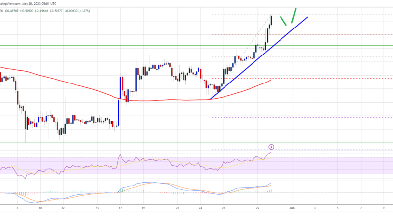 XRP Price Prediction: Rally Gathers Pace, $0.55 Target In Sight