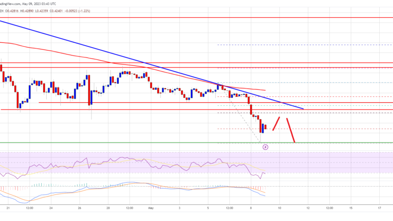 XRP Price Prediction: Ripple Plunges to $0.42: Can Bulls Save the Day?