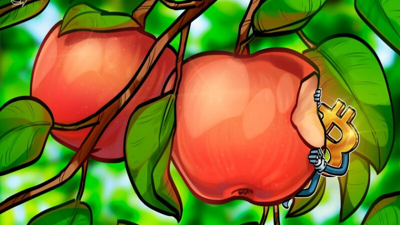 Apple to delist Nostr-based Damus app for Bitcoin tip feature