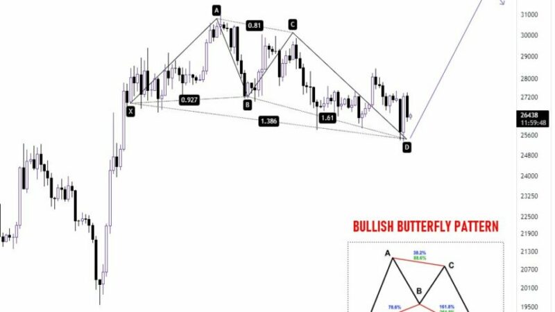 Bitcoin Forms Bullish Butterfly Pattern, Targets $32,000