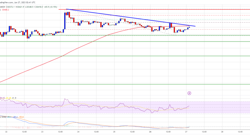Bitcoin Price Aims Higher But 100 SMA Is The Key