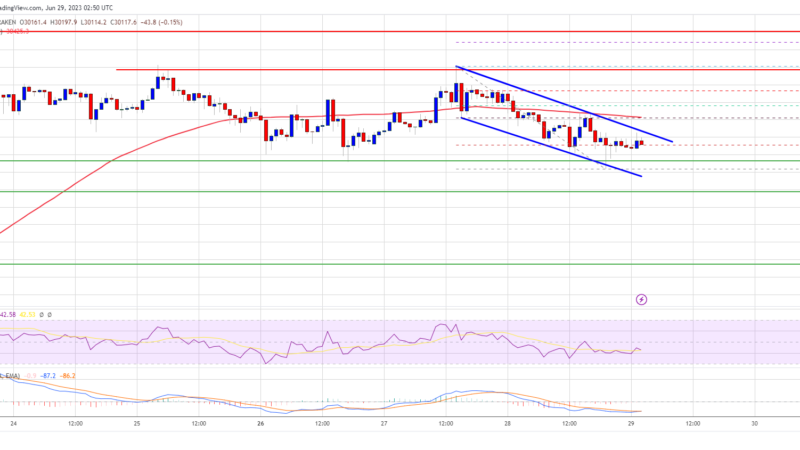 Bitcoin Price Needs To Clear $31K For Hopes of a Fresh Rally