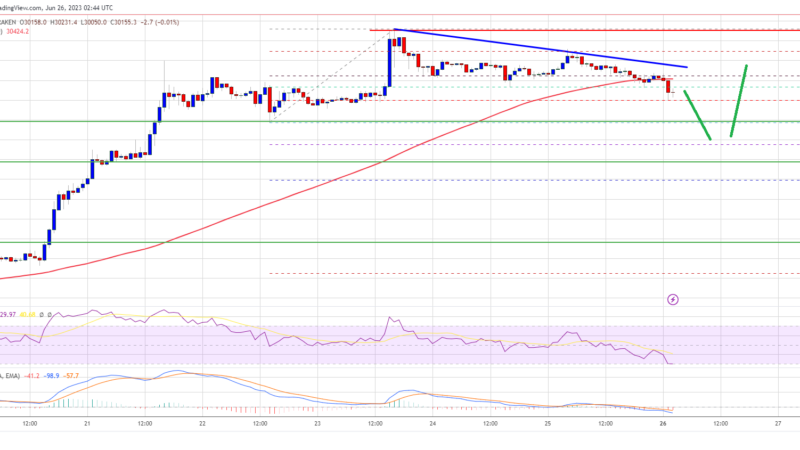 Bitcoin Price Signals Downside Correction Before Fresh Increase
