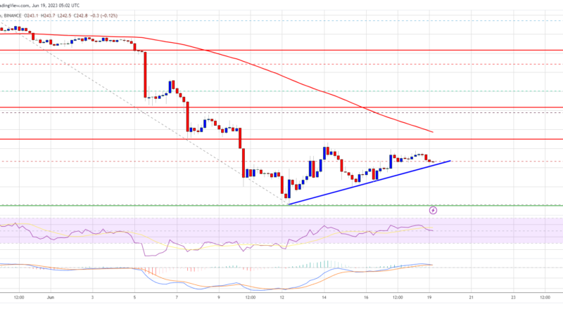 BNB Price Prediction: Fresh Increase Possible Above 100 SMA