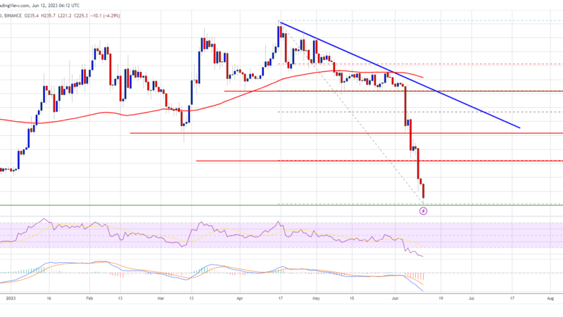 BNB Price Prediction: Is the Downtrend Just Getting Started?