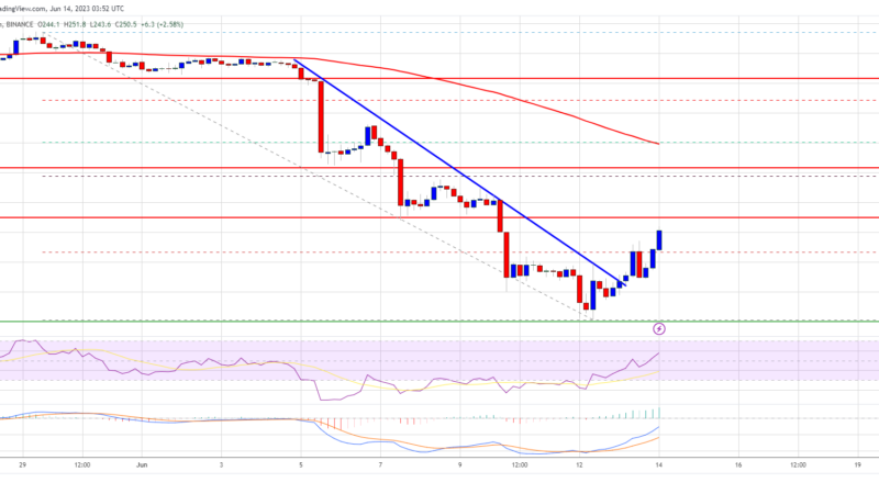 BNB Price Prediction: Recovery Could Fade Above $260