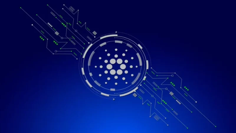 Cardano Developer Refutes SEC Allegations, Denying ADA’s Security Status