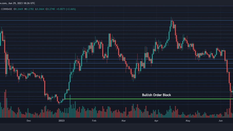 Cardano Shows Signs of Recovery: When Will it Reach $0.30?