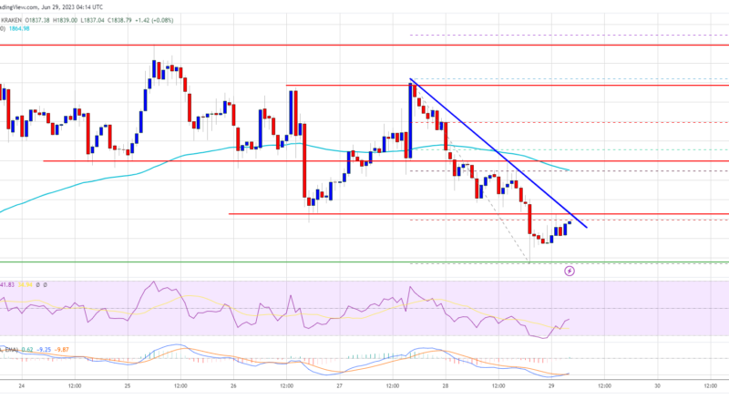 Ethereum Price Grinds Lower As The Bulls Take Back Seat