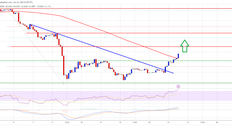 MATIC Price Prediction: Polygon Signals Recovery To $0.75