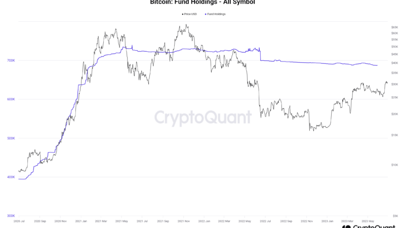 Report Reveals Surge In Institutional Bitcoin Adoption, How Far Will It Go?