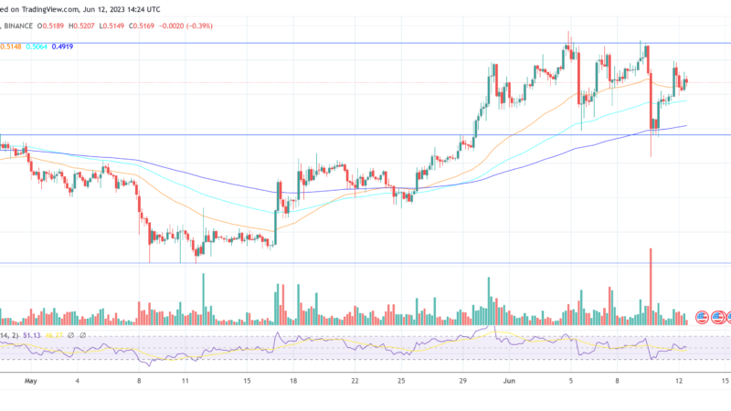 SBI CEO Predicts Massive XRP Price Surge, Expects Ripple Verdict In Few Weeks