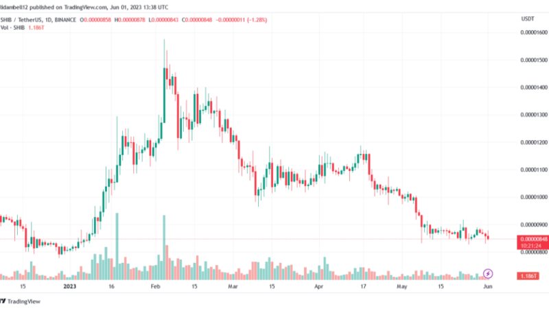 Shiba Inu Burn Frenzy: More Than 15 Billion Tokens Scorched In May