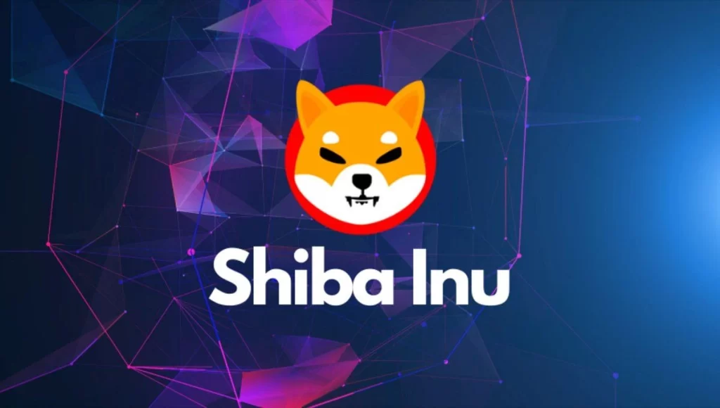 SHIBBURN Shutdown Sparks Outrage: Shiba Inu Fans Demand Justice