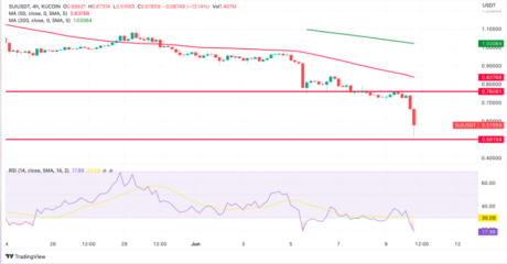 SUI Price Plummets By 38% In 7 Days – Will It Recover Anytime Soon?