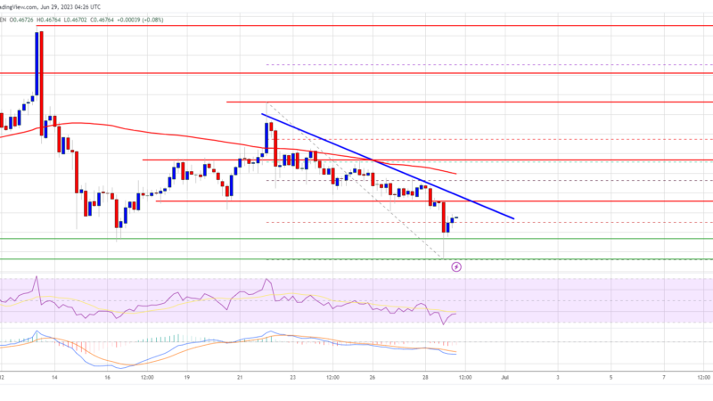 XRP Price Topside Bias Vulnerable Unless It Climbs Above $0.50