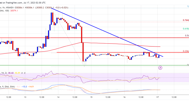 Bitcoin Price Aims Fresh Increase To $31K, This Support Is The Key