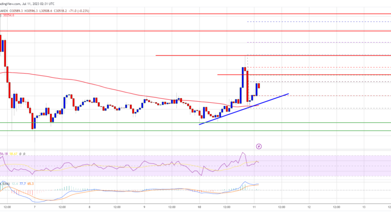 Bitcoin Price Holds Ground But Momentum Keeps Fading Below $31K