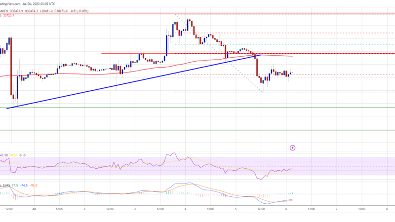 Bitcoin Price Rejects $31K and Turns At Risk of Drop To $30K