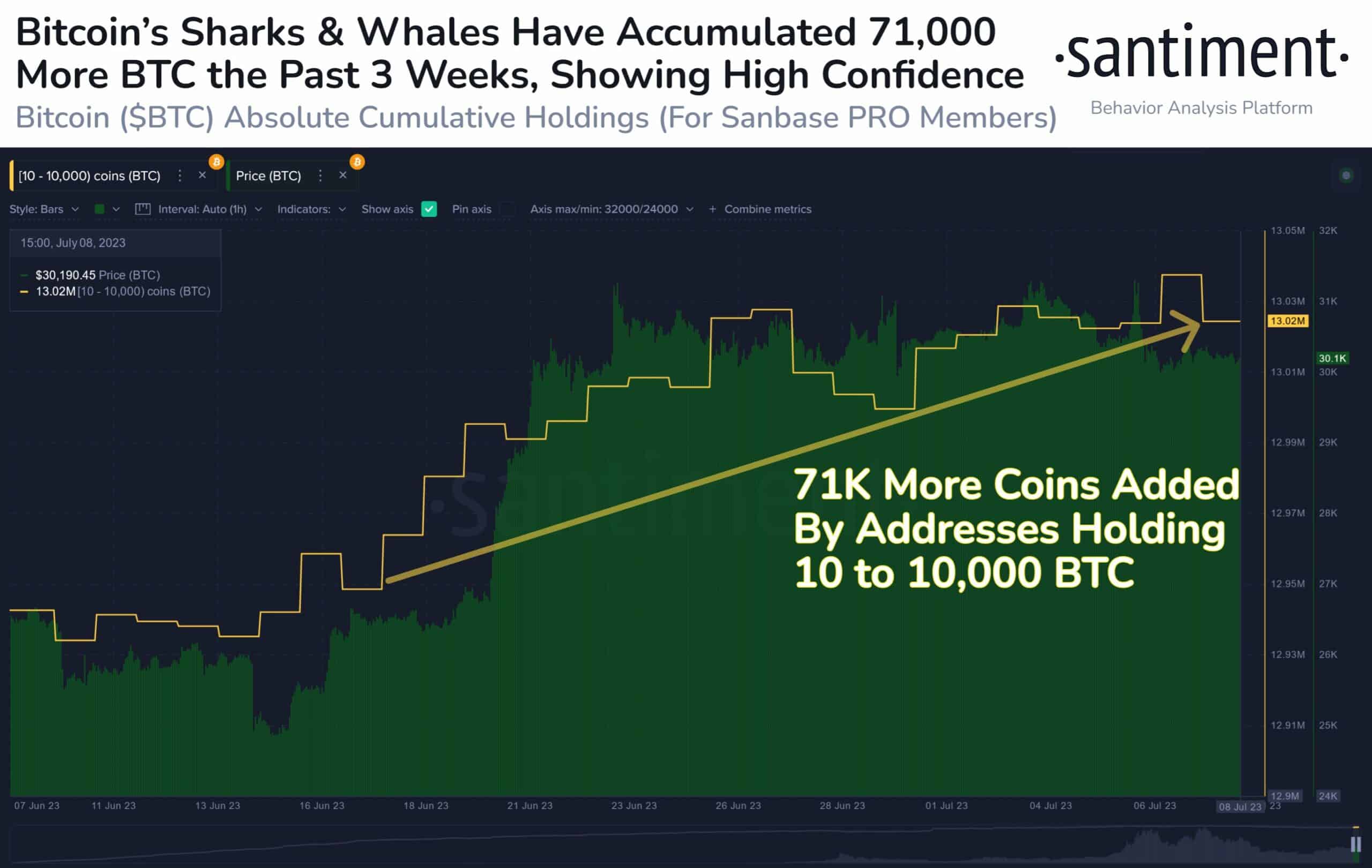 Bitcoin Sharks and Whales Accumulated $2B Worth of BTC Since BlackRock’s ETF Filing