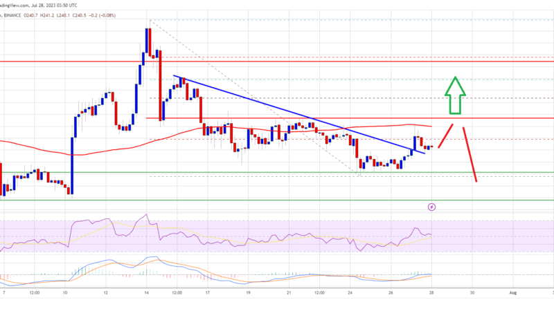 BNB Price Consolidates Below $250: What Could Trigger A Fresh Increase