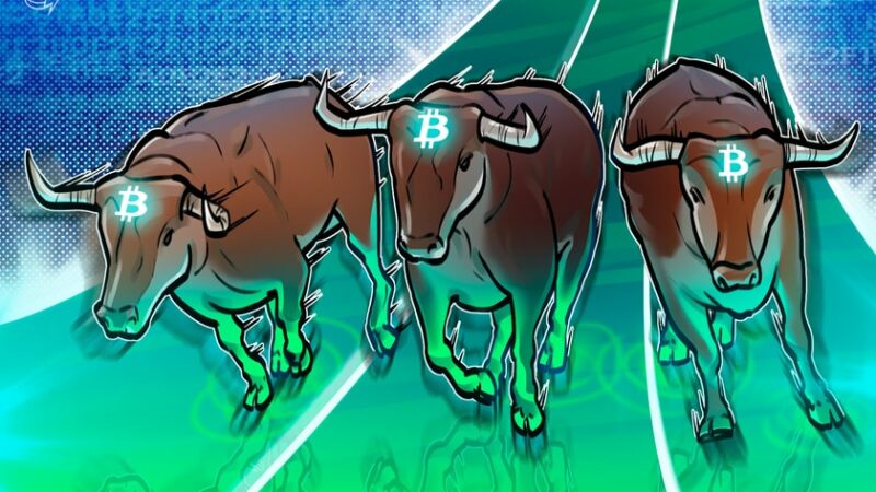 Is this the start of the next bull run?