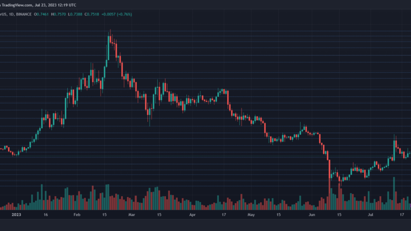 MATIC Bullish Momentum Shows Signs Of Weakening: Key Levels To Monitor