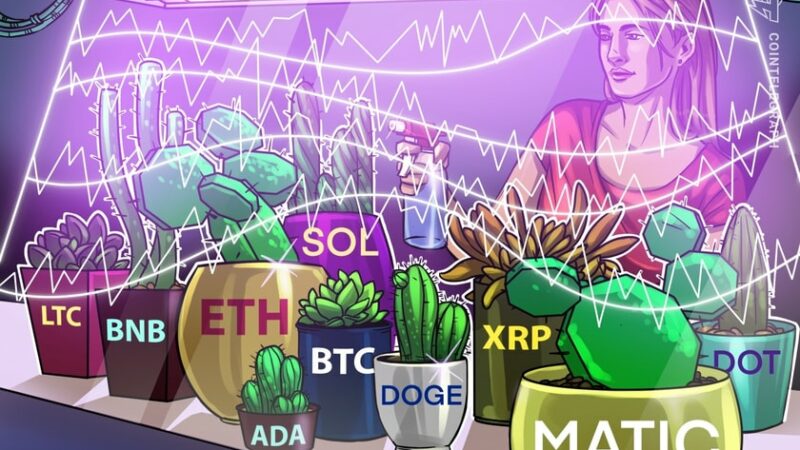 Price analysis 7/26: BTC, ETH, XRP, BNB, ADA, SOL, DOGE, MATIC, LTC, DOT