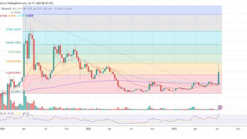 Ripple Vs. SEC: XRP Investors Need To Know This Next Deadline