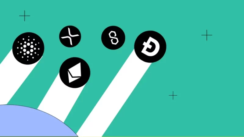 Top Altcoin Picks for Q3 2023: DOGE, PEPE, MATIC, INJ, and BNB Gain Attention