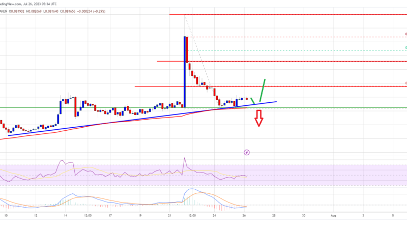 Tron Price Prediction: TRX Trades Near Key Juncture, Can It Rally Again?