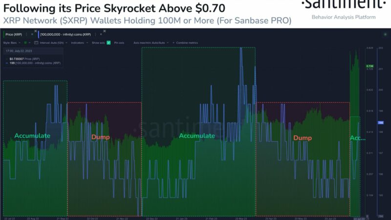 XRP Price Analysis: Bull Flag Flashes As Whales Hit New High