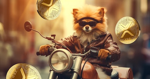 August Crypto Forecast – Polygon (MATIC), XRP (XRP), and Pomerdoge (POMD)