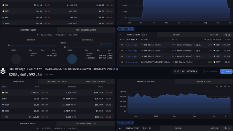 Binance Coin Falls Below $210 As BNB Bridge Hacker’s Health Rate Sinks To 0.99