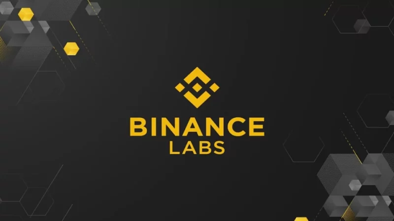 Binance Labs Invests in DeFi Yield Project Pendle Finance!