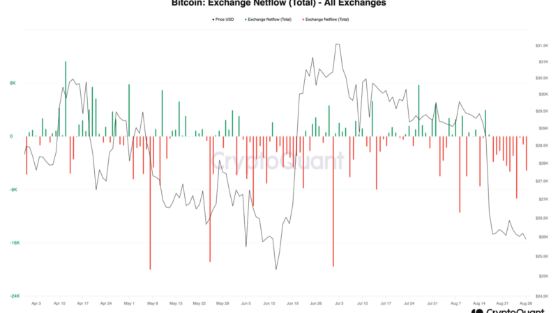 Bitcoin Bullish Signal: Exchange Netflow Remains Negative