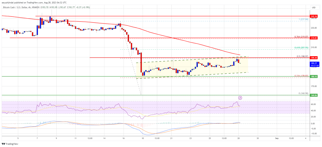 Bitcoin Cash Price Could Restart Increase To $250 If It Breaks This Resistance