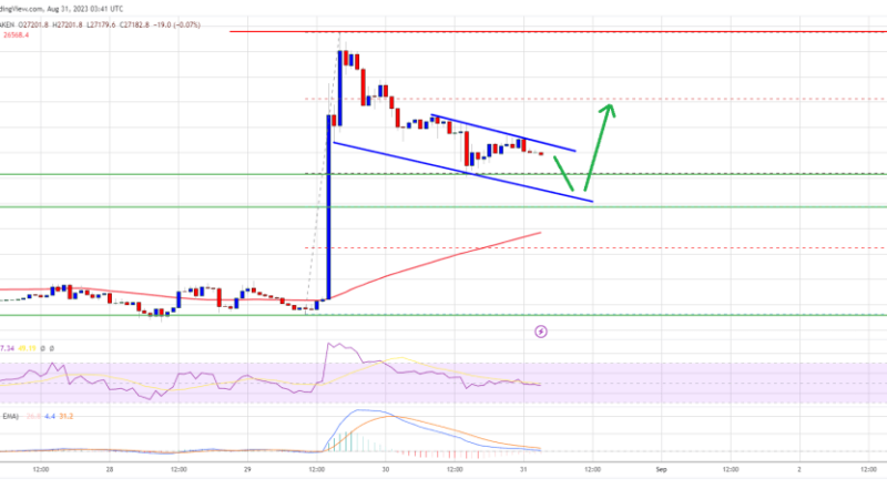 Bitcoin Price Could Correct Further Before Fresh Increase To $28K