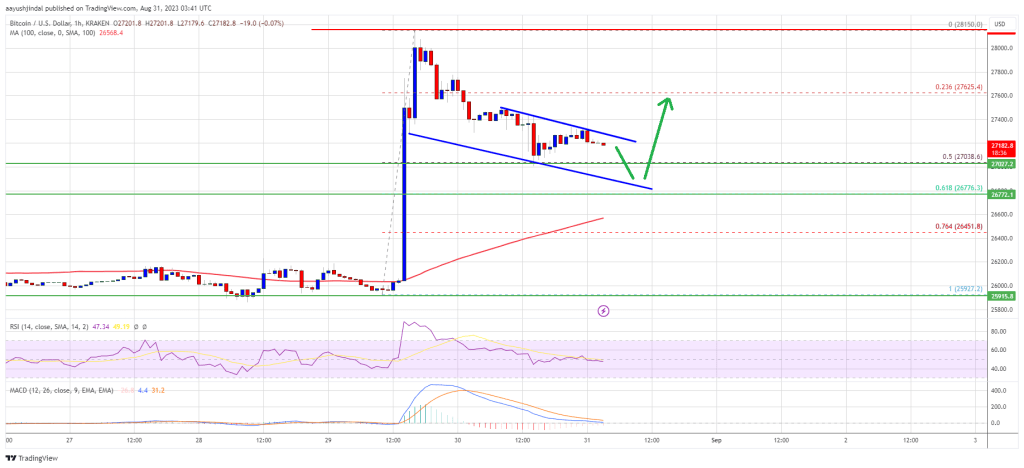 Bitcoin Price Could Correct Further Before Fresh Increase To $28K