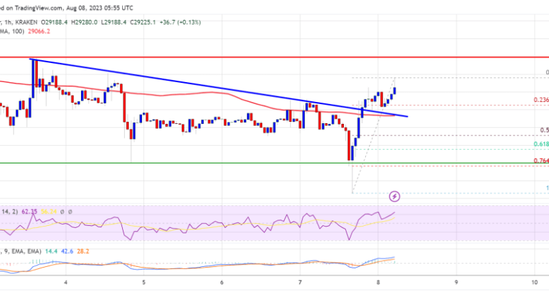Bitcoin Price Could Stage Steady Increase If It Clears This Hurdle