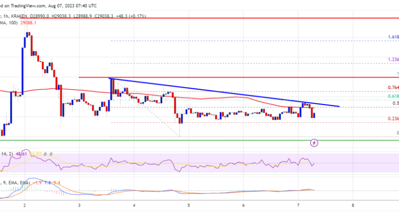Bitcoin Price Relatively Muted, Risk of More Downsides Still Exist